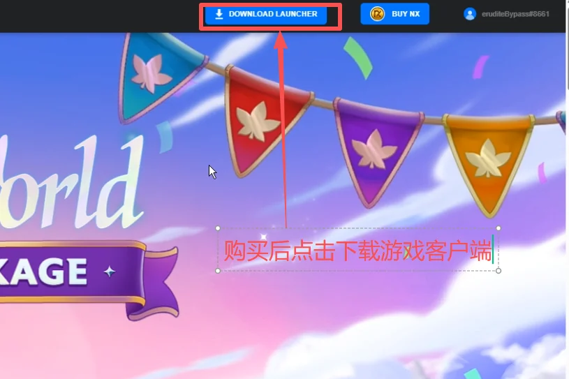 冒险岛怀旧服教程:下载Nexon启动器